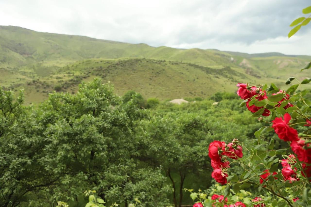 Guesthouse Mtkvari Nakalakevi エクステリア 写真