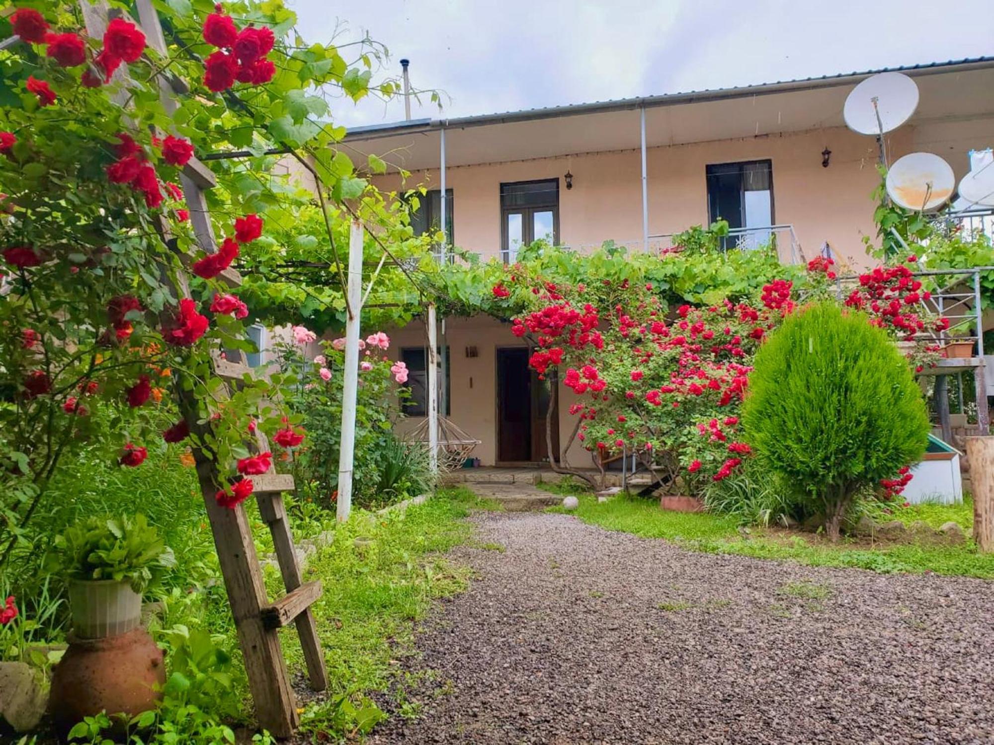 Guesthouse Mtkvari Nakalakevi エクステリア 写真